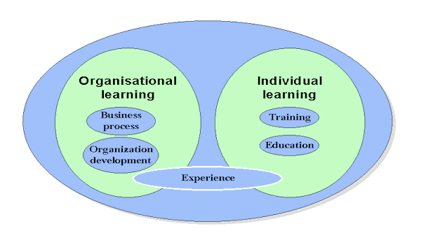Individual and organisational learning Individual and organisational learning